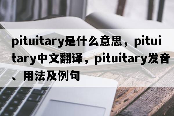 pituitary是什么意思，pituitary中文翻譯，pituitary發(fā)音、用法及例句