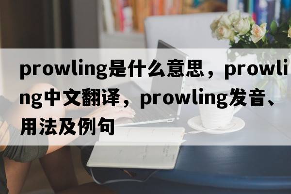 prowling是什么意思，prowling中文翻譯，prowling發(fā)音、用法及例句