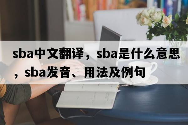 sba中文翻譯，sba是什么意思，sba發(fā)音、用法及例句