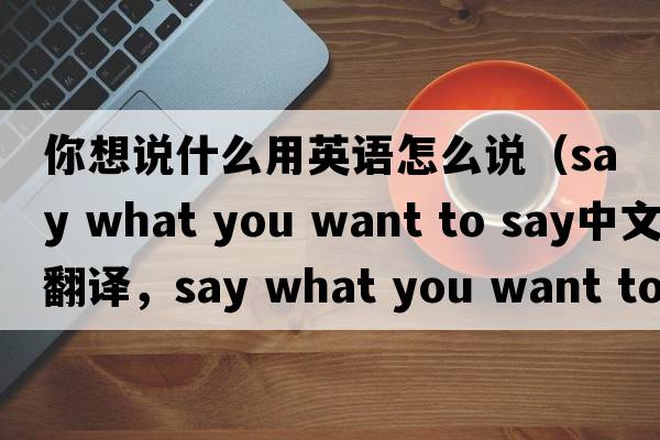 你想說(shuō)什么用英語(yǔ)怎么說(shuō)（say what you want to say中文翻譯，say what you want to say是什么意思，say what you want to say發(fā)音、用法