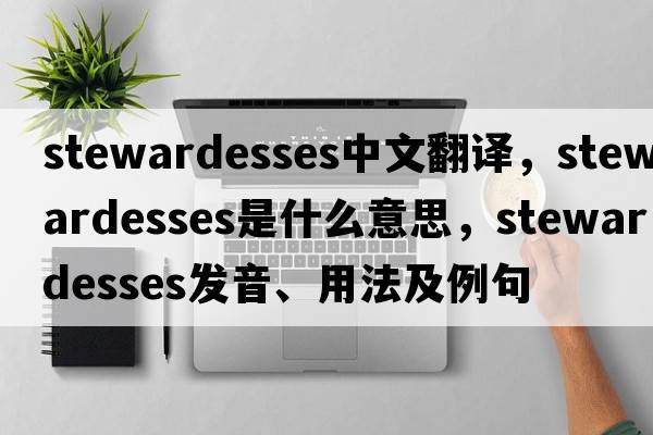 stewardesses中文翻譯，stewardesses是什么意思，stewardesses發(fā)音、用法及例句