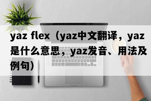 yaz flex（YAZ中文翻譯，YAZ是什么意思，YAZ發(fā)音、用法及例句）