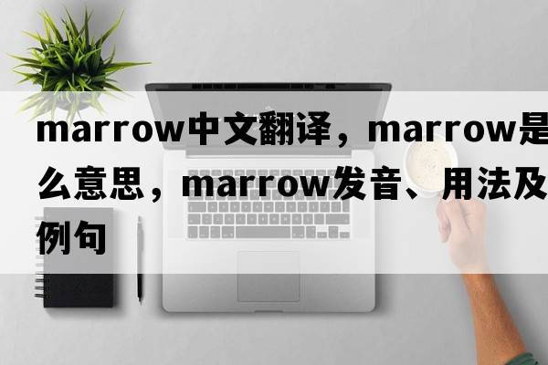 marrow中文翻譯，marrow是什么意思，marrow發(fā)音、用法及例句