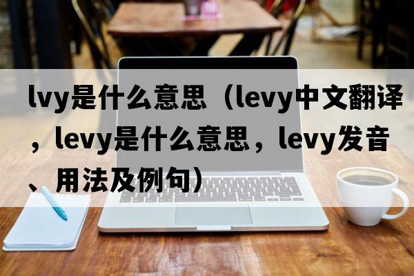 lvy是什么意思（levy中文翻譯，levy是什么意思，levy發(fā)音、用法及例句）