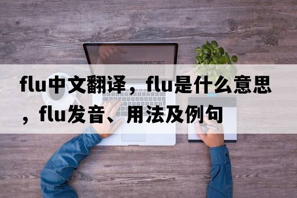 flu中文翻譯，flu是什么意思，flu發(fā)音、用法及例句