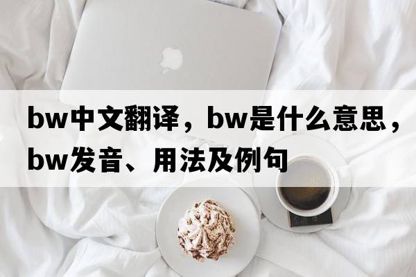 bw中文翻譯，bw是什么意思，bw發(fā)音、用法及例句