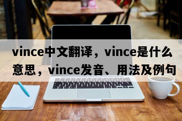 Vince中文翻譯，Vince是什么意思，Vince發(fā)音、用法及例句