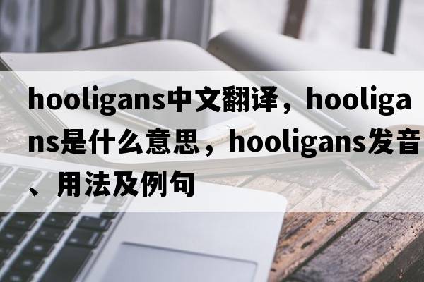hooligans中文翻譯，hooligans是什么意思，hooligans發(fā)音、用法及例句