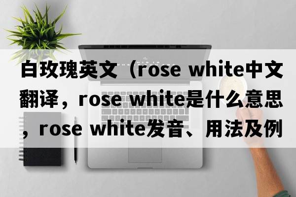 白玫瑰英文（rose white中文翻譯，rose white是什么意思，rose white發(fā)音、用法及例句）
