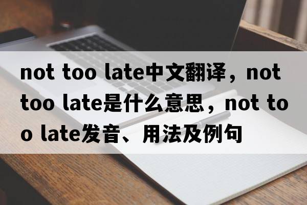 not too late中文翻譯，not too late是什么意思，not too late發(fā)音、用法及例句