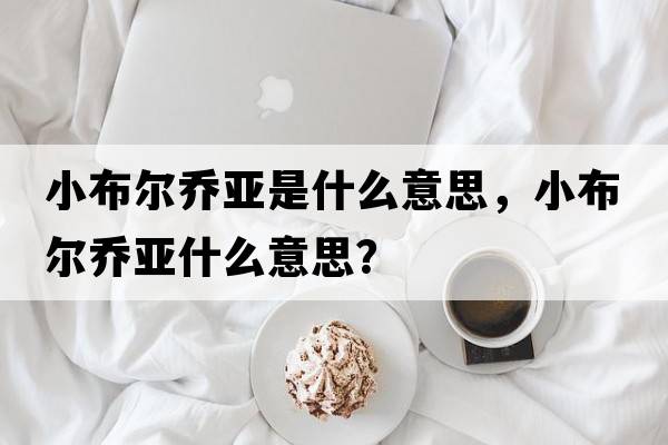小布爾喬亞是什么意思，小布爾喬亞什么意思？