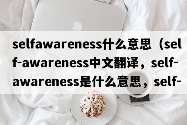 selfawareness什么意思（self-awareness中文翻譯，self-awareness是什么意思，self-awareness發(fā)音、用法及例句）