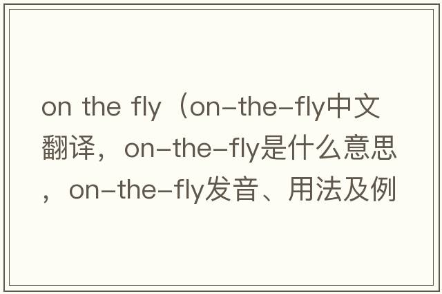 on the fly（on-the-fly中文翻譯，on-the-fly是什么意思，on-the-fly發(fā)音、用法及例句）