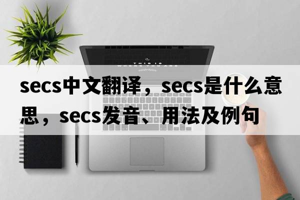 secs中文翻譯，secs是什么意思，secs發(fā)音、用法及例句