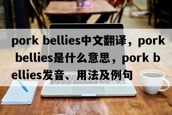 pork bellies中文翻譯，pork bellies是什么意思，pork bellies發(fā)音、用法及例句
