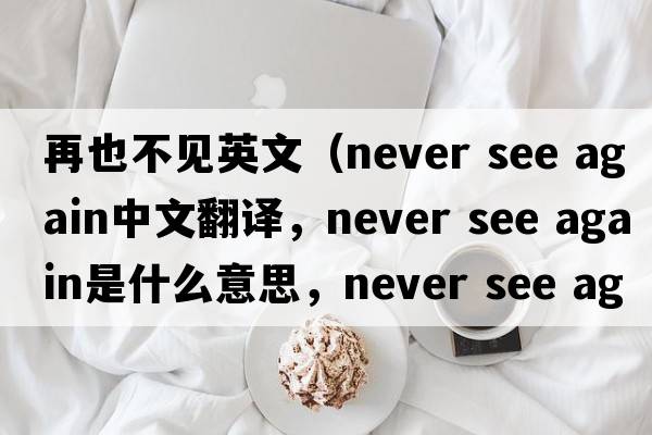 再也不見(jiàn)英文（never see again中文翻譯，never see again是什么意思，never see again發(fā)音、用法及例句）