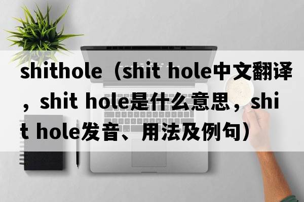 shithole（shit hole中文翻譯，shit hole是什么意思，shit hole發(fā)音、用法及例句）