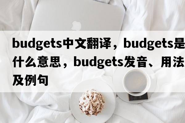 budgets中文翻譯，budgets是什么意思，budgets發(fā)音、用法及例句