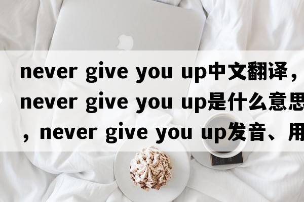 never give you up中文翻譯，never give you up是什么意思，never give you up發(fā)音、用法及例句
