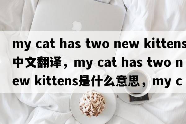 my cat has two new kittens中文翻譯，my cat has two new kittens是什么意思，my cat has two new kittens發(fā)音、用法及例句
