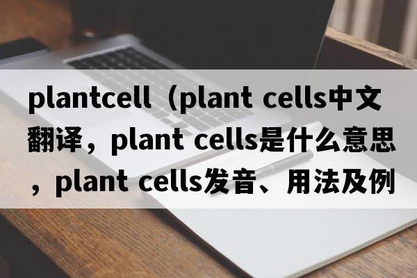 plantcell（plant cells中文翻譯，plant cells是什么意思，plant cells發(fā)音、用法及例句）